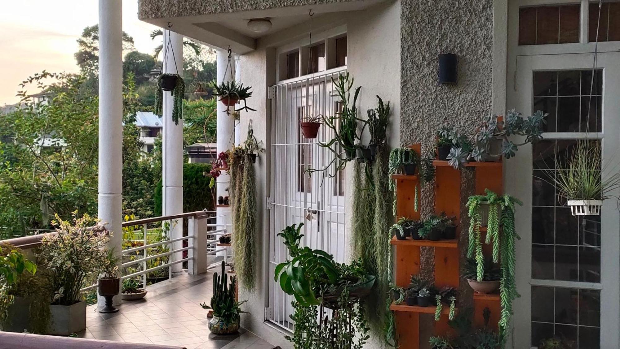 Marvel Hills Kandy Exterior foto